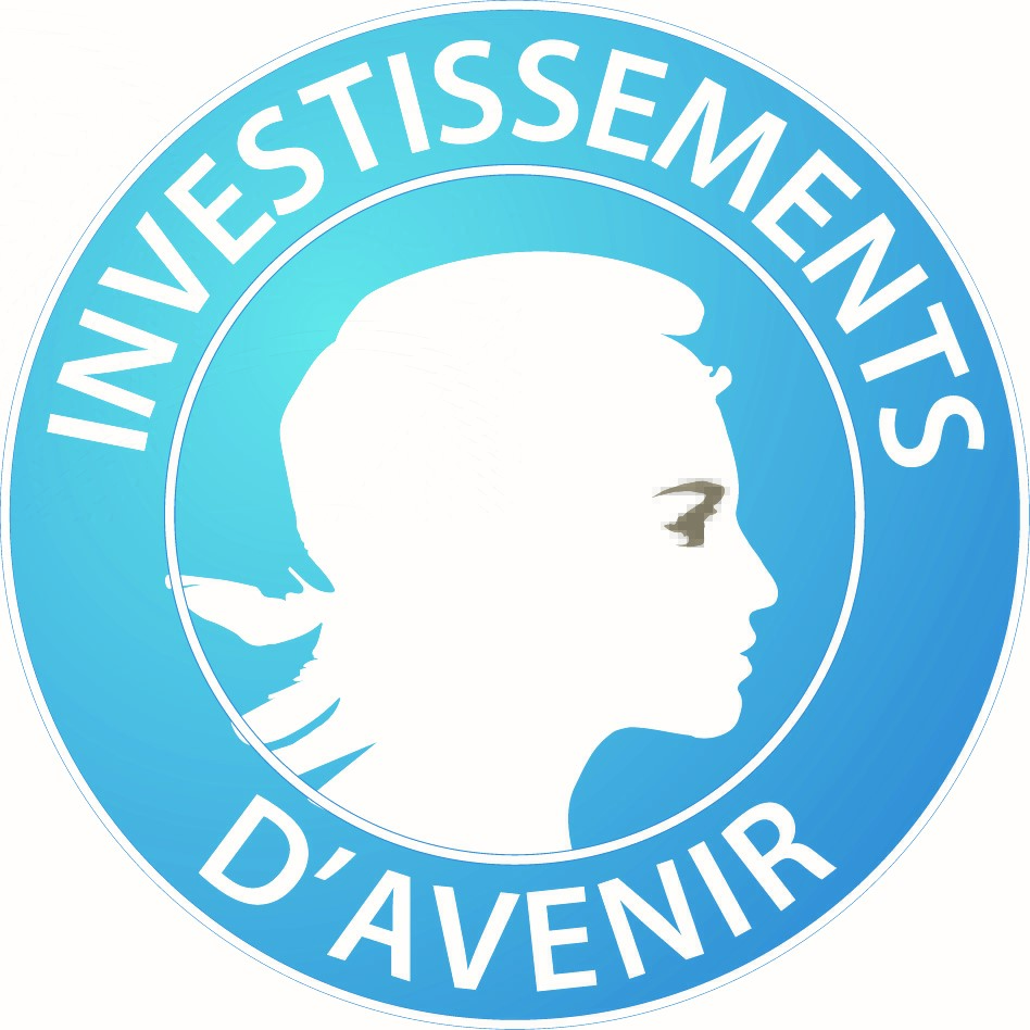 Logo Investissements d'Avenir