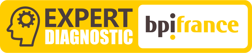 INOVSYS devient expert BPI et réalise des diagnostics subventionnés