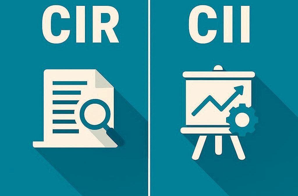 INOVSYS vous explique les dispositifs CIR et CII