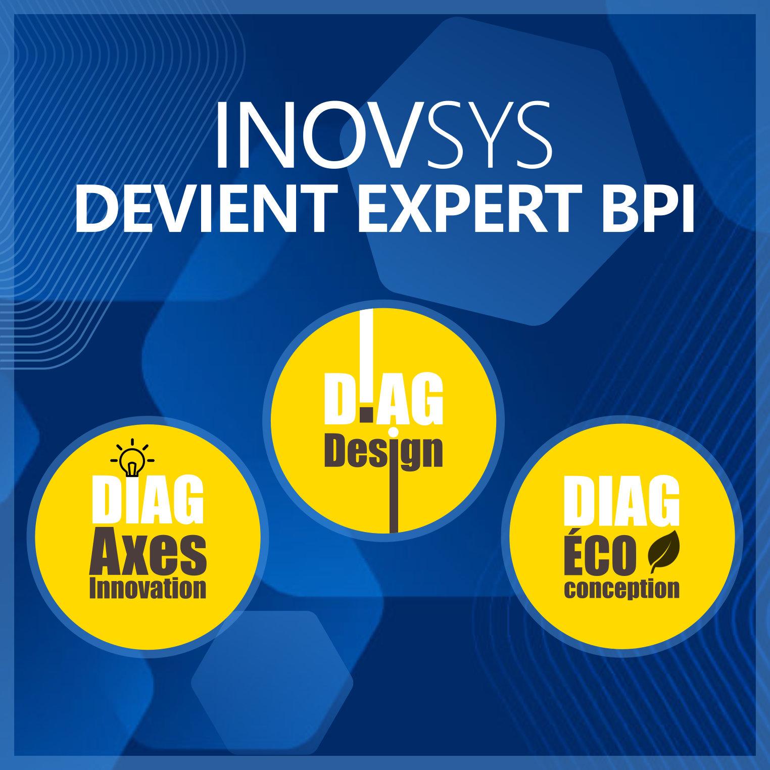 INOVSYS devient expert BPI et réalise des diagnostics subventionnés